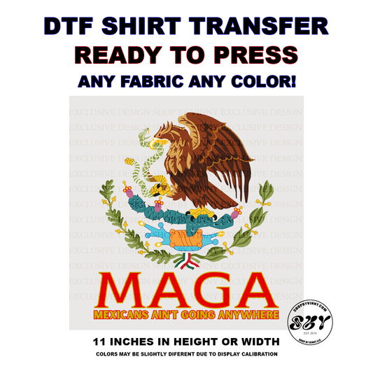 341 MEXICANS AINT GOING ANYWHERE - DTF