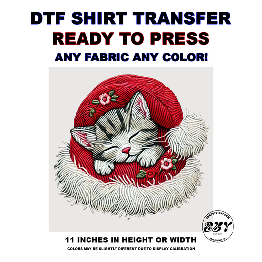 302 CHRISTMAS CAT SANTA HAT - DTF