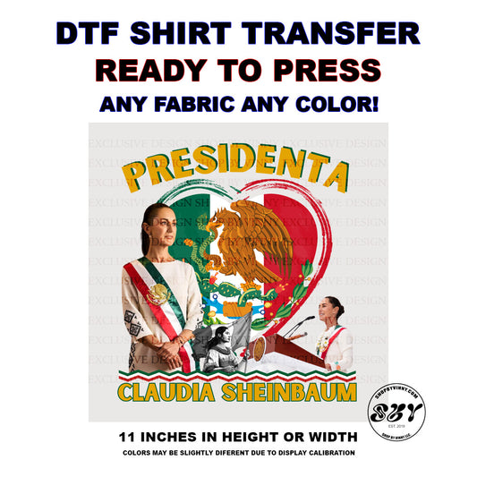 343 PRESIDENTA - DTF